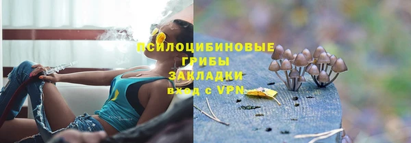 молекула духа Майский