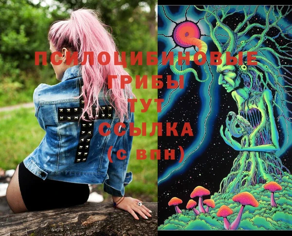 молекула духа Майский
