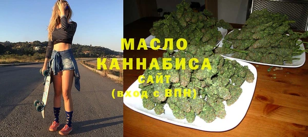 молекула духа Майский