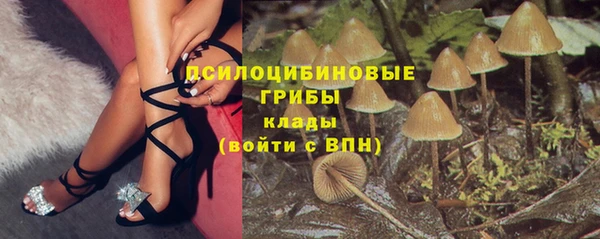 молекула духа Майский
