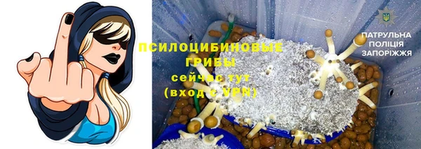 каннабис Магас