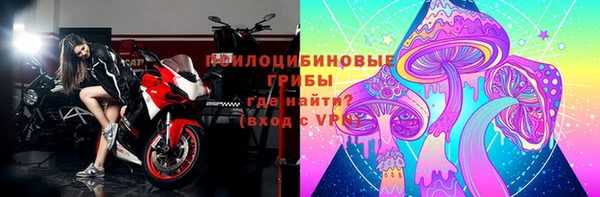 молекула духа Майский