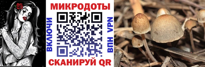 Галлюциногенные грибы Cubensis  shop официальный сайт  Камышин  магазин продажи наркотиков 